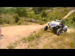 ৩০০ সিসি গো কার্ট বগি