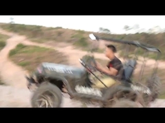 300cc 2wd গো কার্ট