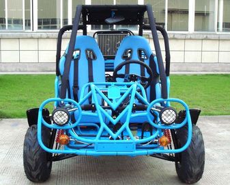 250cc Go Kart Buggy Double A Arm / Single A - Arm With CVT Reverse / Road Tyre