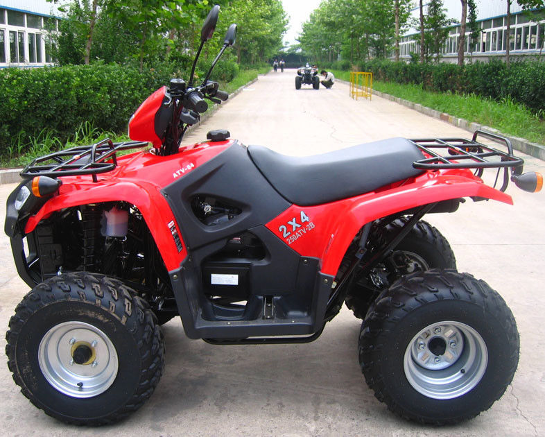 তেল কুলযুক্ত যুবা রেসিং ATV 260cc বড় আকার বিপরীত গিয়ার / গিয়ার বক্সের ভিতরে