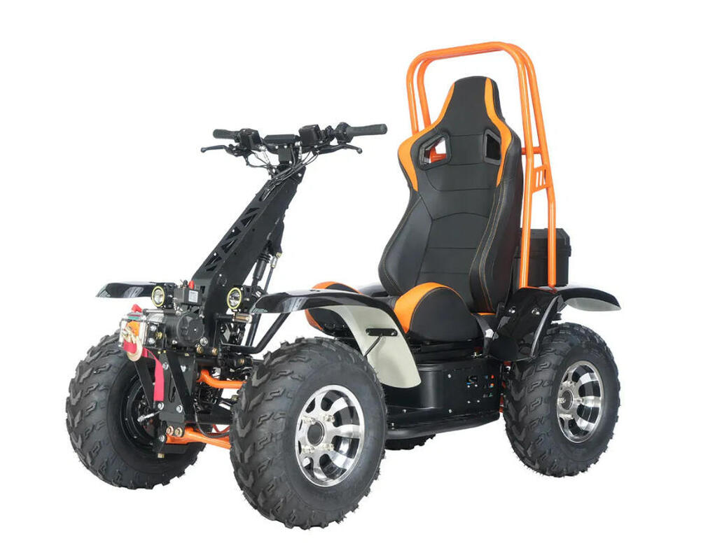 Factory 6000W 4 Wheel Drive Beach Desert Snow Outdoor Use 60V 50ah Lithium Mobility Electric Quad Buggy