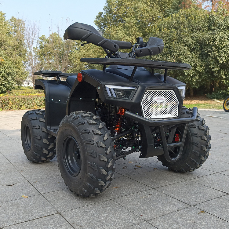 125cc ফোর হুইল Atv ফোর স্ট্রোক সিঙ্গেল সিলিন্ডার ম্যাক্স হর্সপাওয়ার 8.0kw 9500r/মিনিট