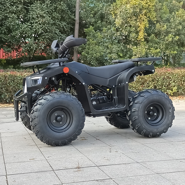 125cc ফোর হুইল Atv ফোর স্ট্রোক সিঙ্গেল সিলিন্ডার ম্যাক্স হর্সপাওয়ার 8.0kw 9500r/মিনিট