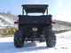 UTV 250 Tiltable Loader Winch Gas Utility Vehicles With Efi - Red , Windsheild And Towbar