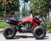 13.9HP Water Cooled Youth Racing ATV 200cc 4 Wheeler With Rear Disc Brake