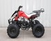 Hand Brake Operation Automatic Sport Atv 125cc Utility Vehicle Atv 101kg