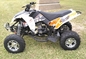 250cc Quad Four Wheeler Water Cooled Youth Racing ATV